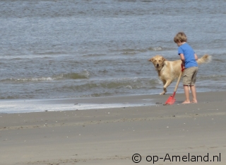 Vakantie op Ameland met hond