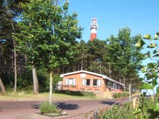 Alk bij de vuurtoren, Hollum op Ameland