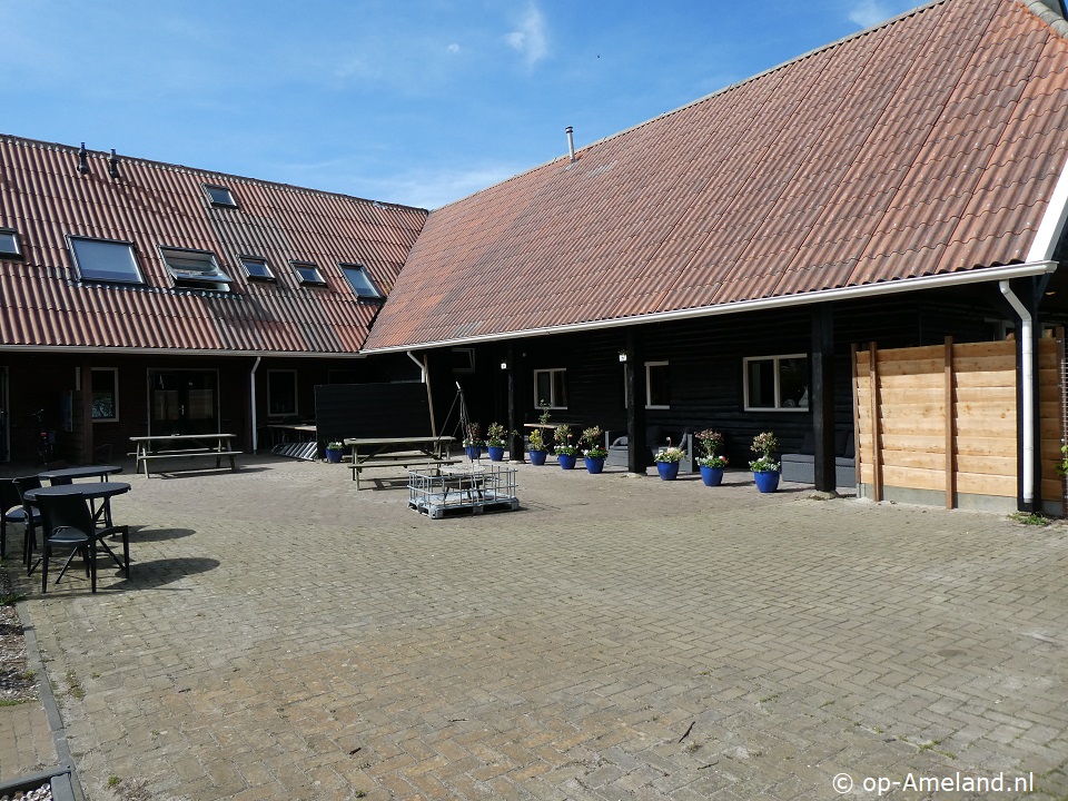 Boerezwaluw 1, Buren op Ameland