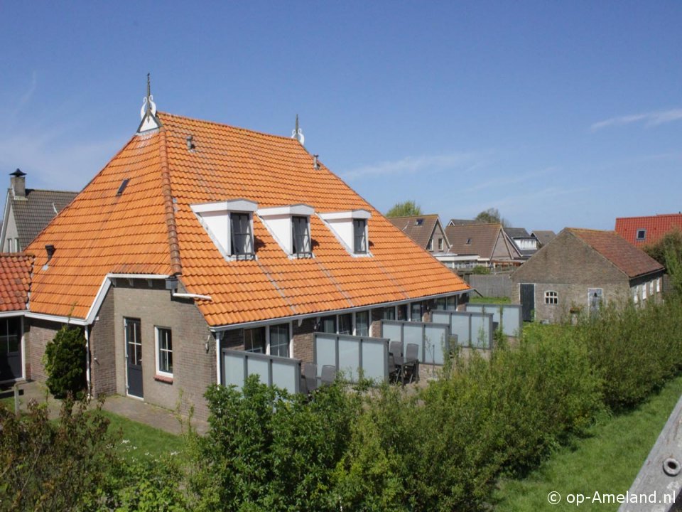 Bram, Vakantie op Ameland met hond