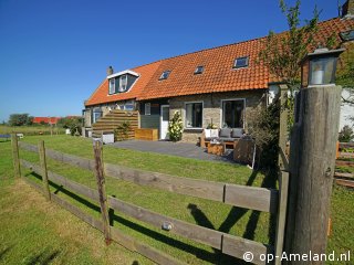 Butenuut, Vakantie op Ameland met hond