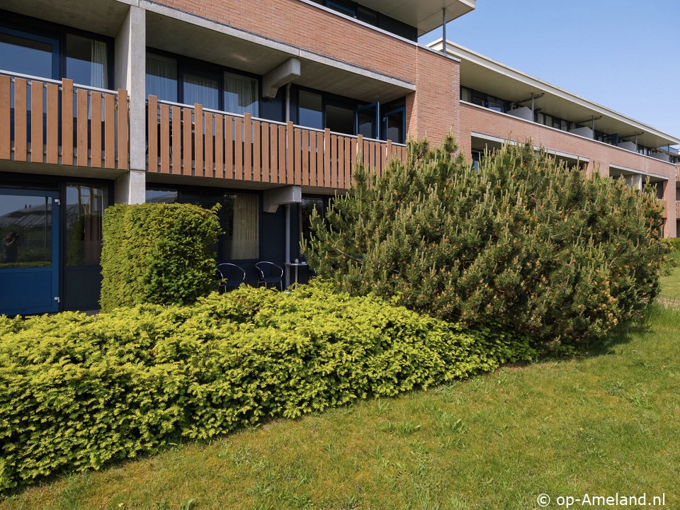 De Vleyen, Appartement op Ameland