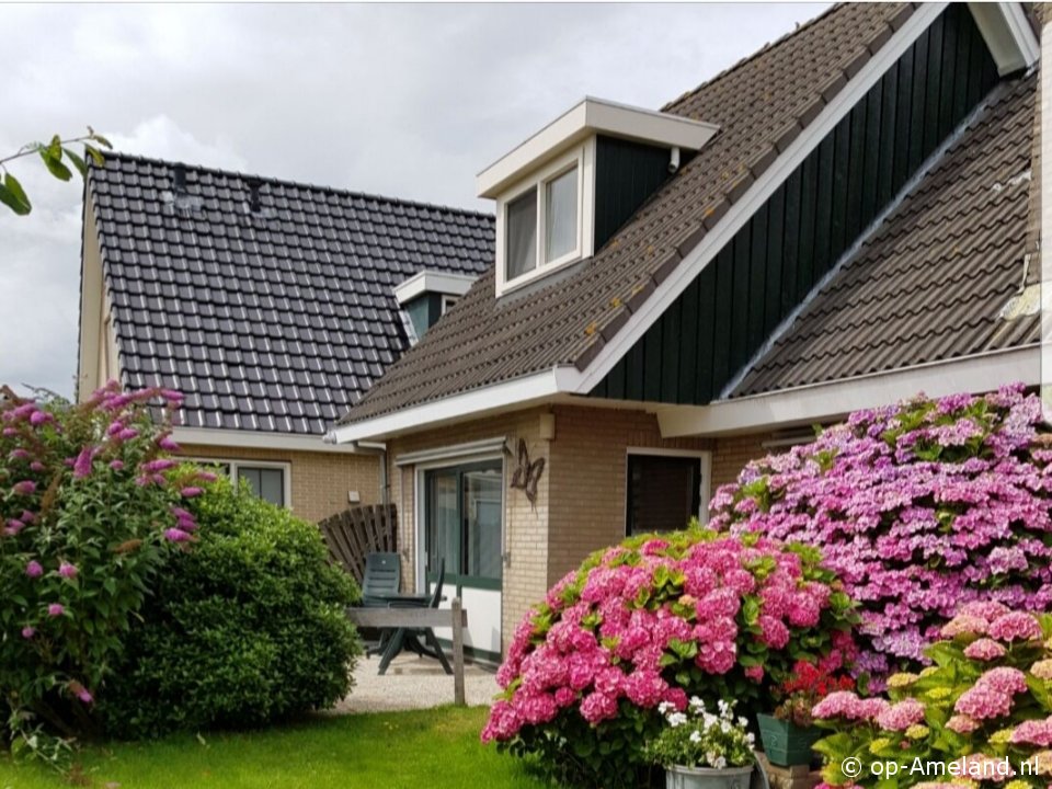 Familie Oud, Rondje Ameland