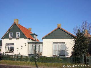 Koebloemke, Buren op Ameland