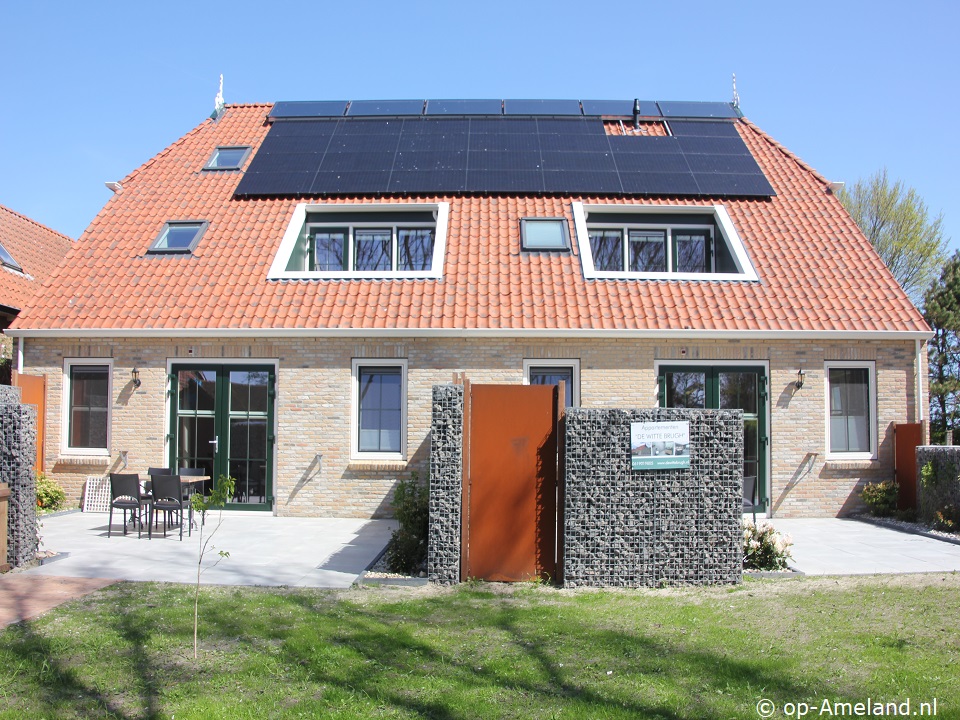 De Miede Buren, Buren op Ameland