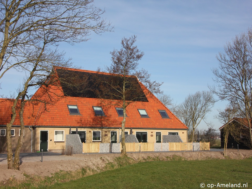 Zuidergrie, Suikerwier, Vakantie op Ameland met hond