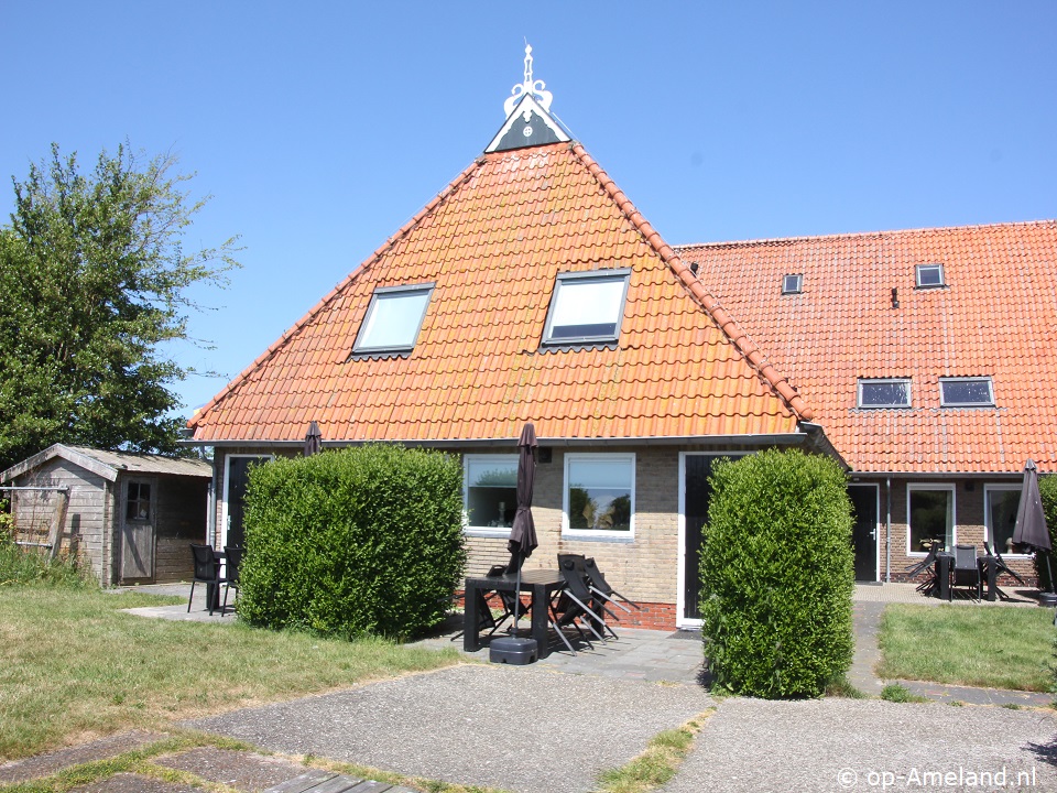 Ballumerhoeve, Tree, Vakantie op Ameland met hond