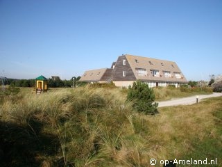 Uitwaaien (Vleijenhof 20), Buren op Ameland