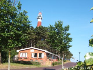 Kievit bij de vuurtoren. 