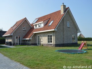 Waddengoud, Buren op Ameland