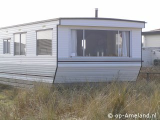 Aalscholver Roosdunen, Ballum op Ameland