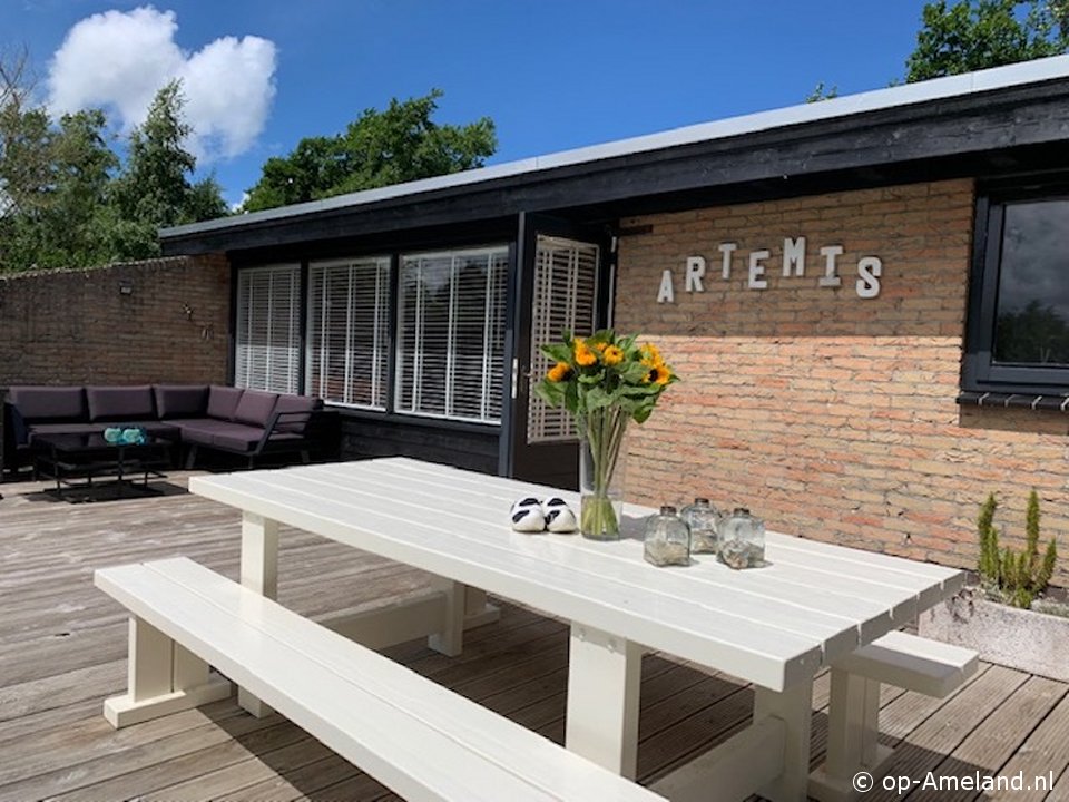 Artemis, Vakantiehuizen op Ameland