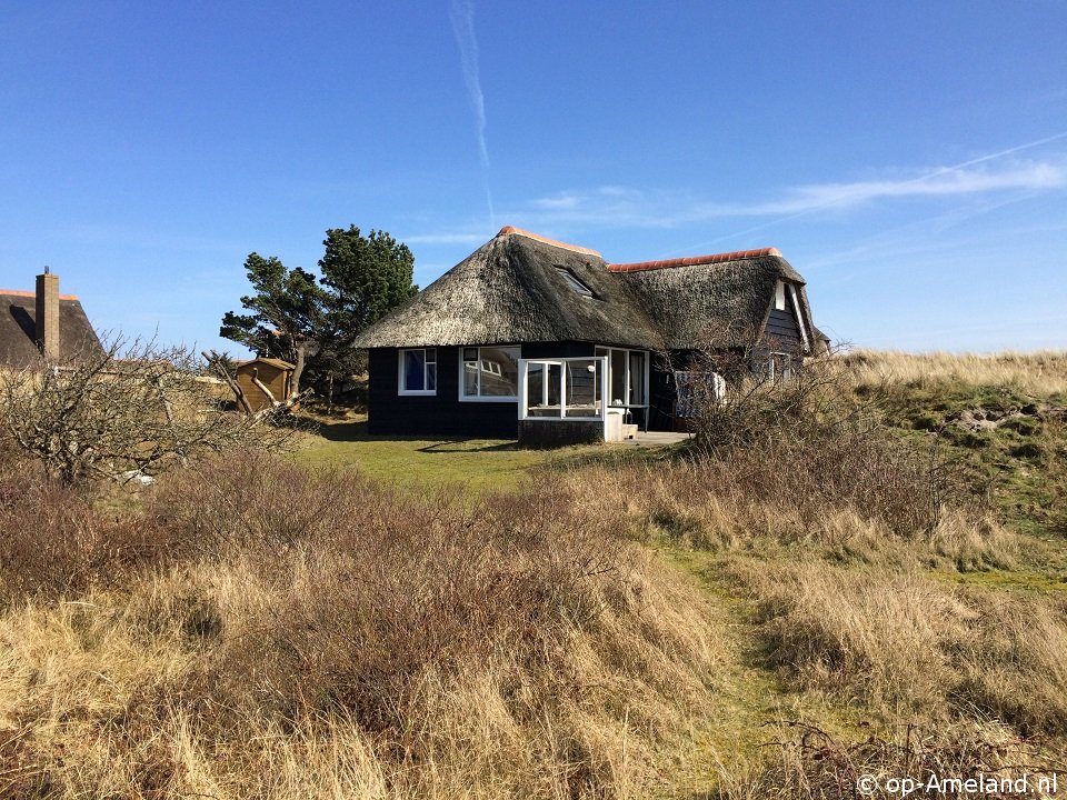 Aurora, Vakantiehuizen op Ameland