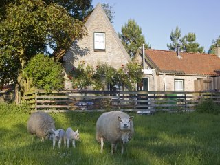 Beppe van Ameland, Vakantiehuizen op Ameland