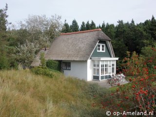 Buitenaanzicht Blauwe Distel