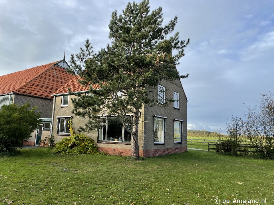 De Bocht, Vakantiehuizen op Ameland