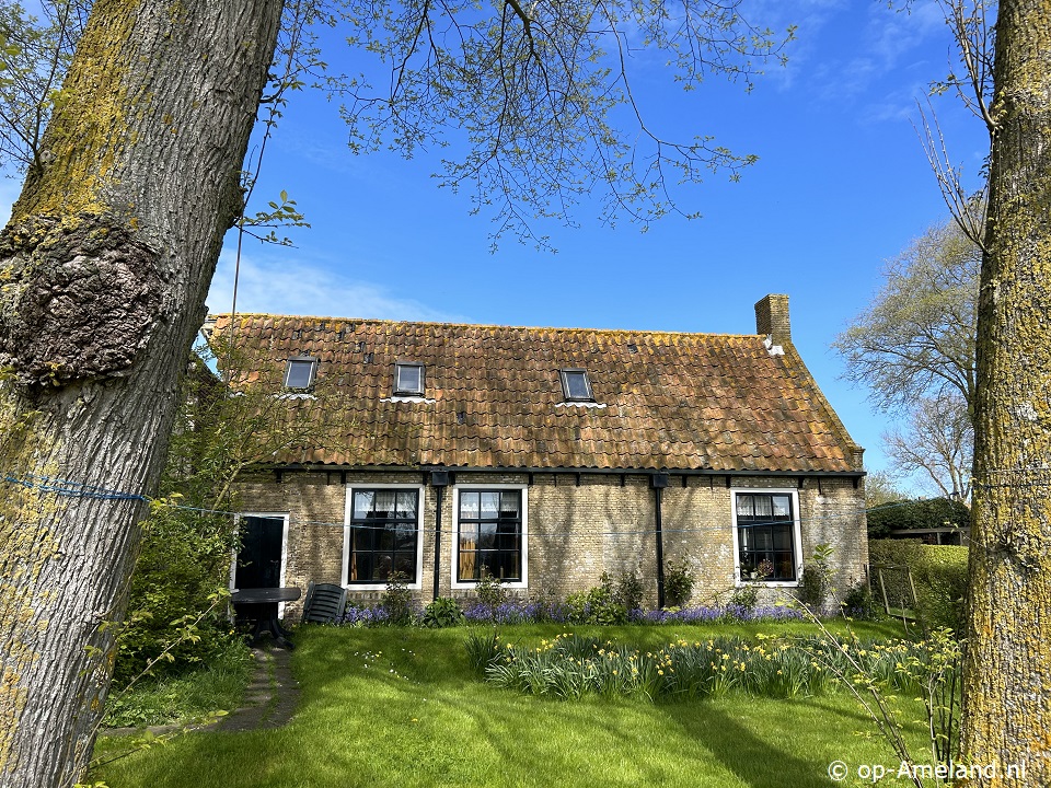 De Boerderij (Nes), Vakantiehuizen op Ameland