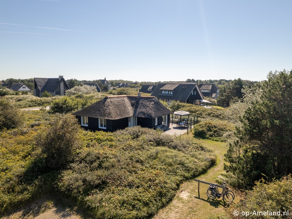 De Kolibrie, Buren op Ameland