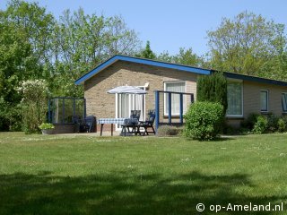 De Mus, Vakantiehuizen op Ameland