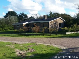 Distelvink, Vakantiehuizen op Ameland