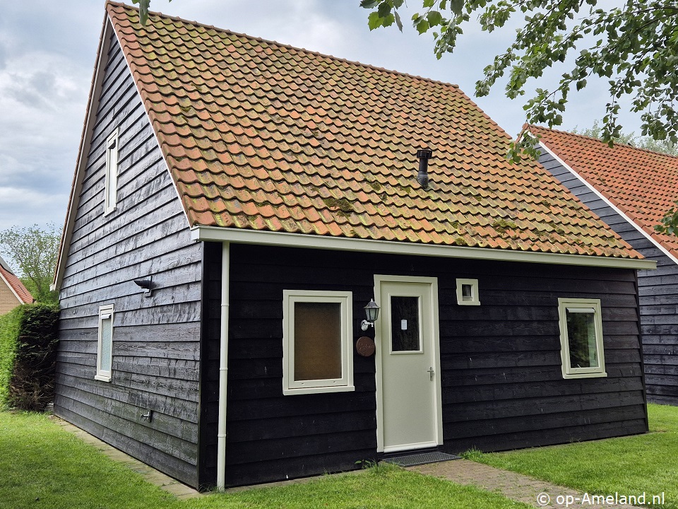 Esdoorn, Vakantiehuizen op Ameland