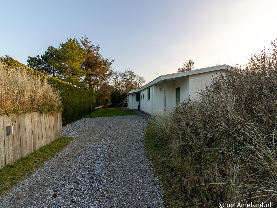 Fazant, Vakantiehuizen op Ameland