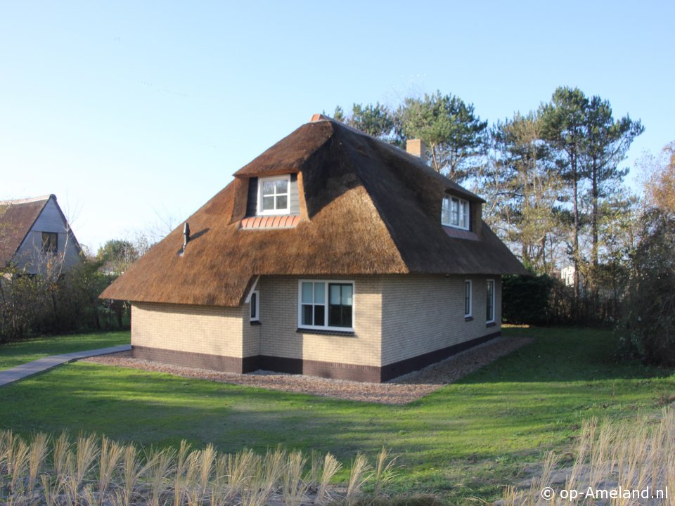 Kattedoorn, Ballum op Ameland