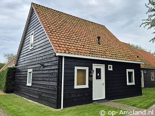 Populier, Ballum op Ameland