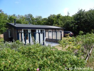 De Ringmus, Ballum op Ameland