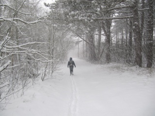 Christmas on Ameland