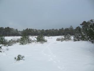 Christmas on Ameland