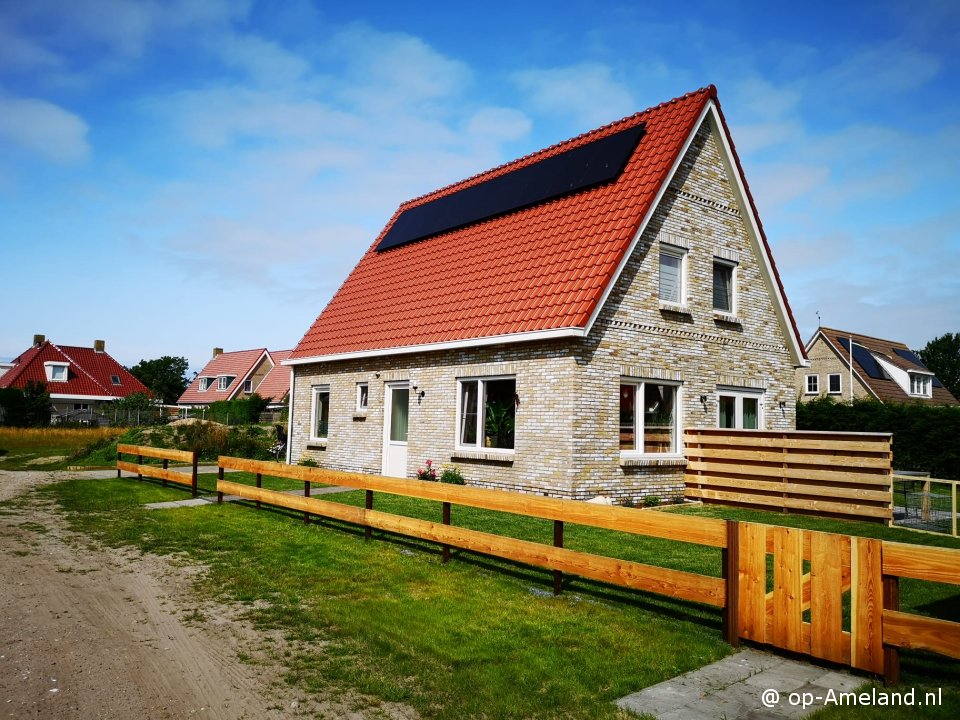 de Peadebloem, Buren op Ameland