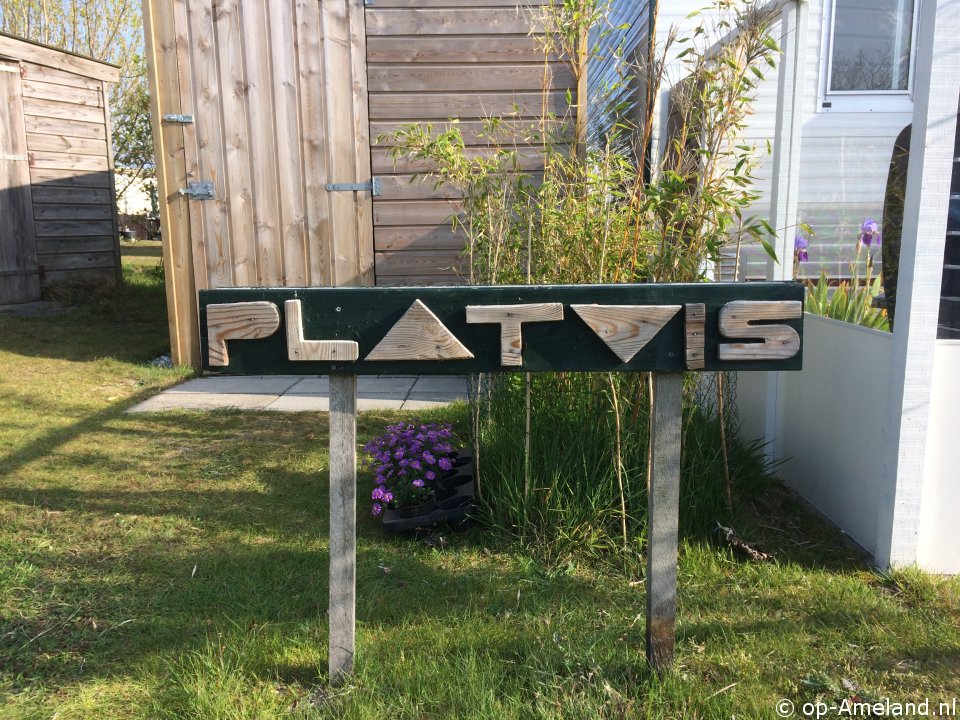 Platvis