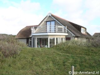 Jutterstijd, Nes op Ameland