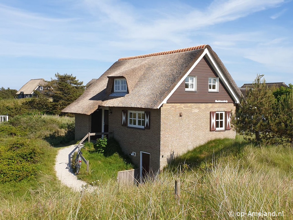 Waddenschelp, Vakantiehuizen in de duinen tussen Nes en Buren