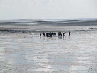 Weltnaturerbe Wattenmeer Ameland